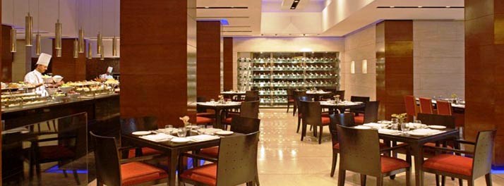 428/Radisson Blu Plaza - New Delhi 09.jpg